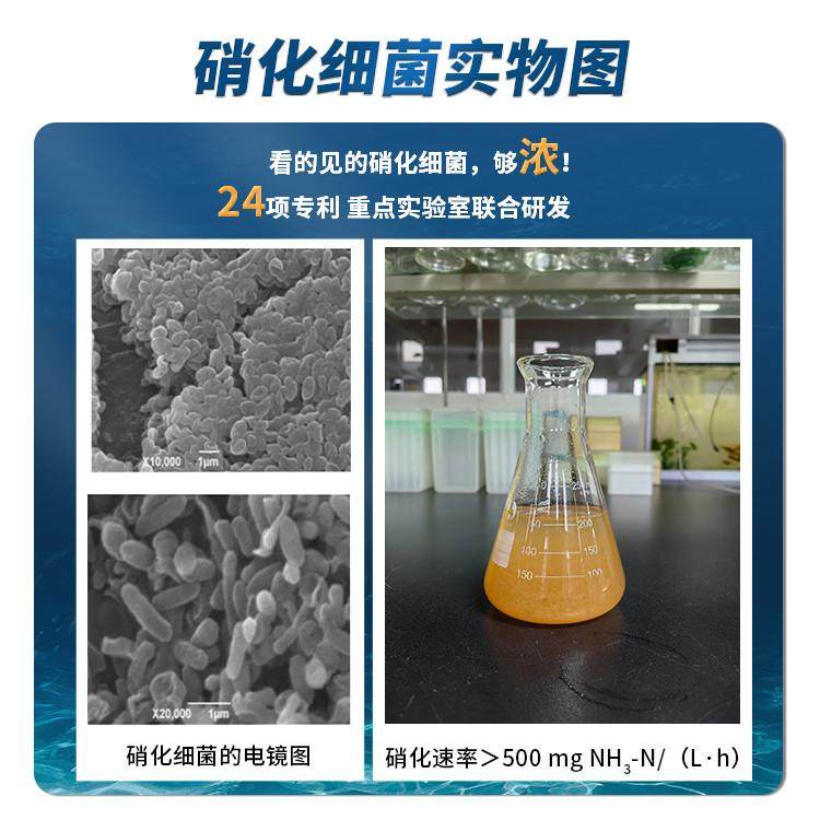 水之国鱼你自养硝化细菌鱼缸用消化活菌淡海水快速开缸降氨氮亚盐图片