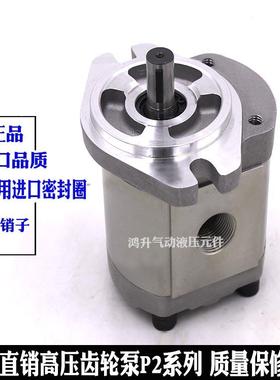 齿轮泵P208RP01DT P211 214 206 216 P222R P225 P233 P219RP01DT