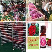 温州玫瑰花纯露提取玫瑰花精油提取大马士革玫瑰花精油提取设,工业油品/胶粘/化学/实验室用品,蒸馏器/蒸馏设备,淘宝优惠券,粉丝福利购,淘宝优惠卷