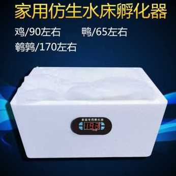 现货爆品新品智能水床孵化机家用型鸡鸭鹅孵化器55F枚小型0枚卵蛋