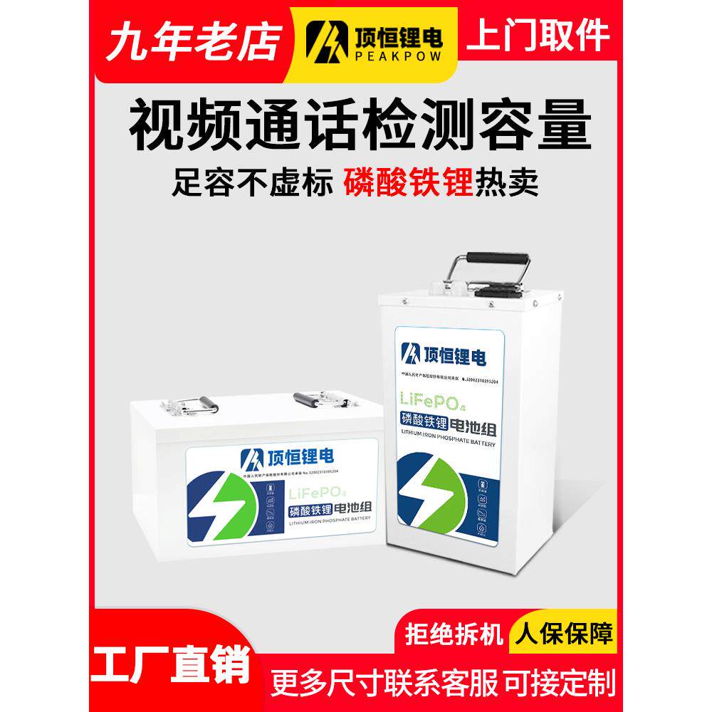 顶恒电动摩托车磷酸铁锂电动车锂电池三轮四轮