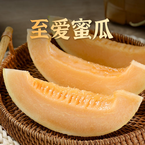 新疆喀什网纹瓜现摘香甜多汁