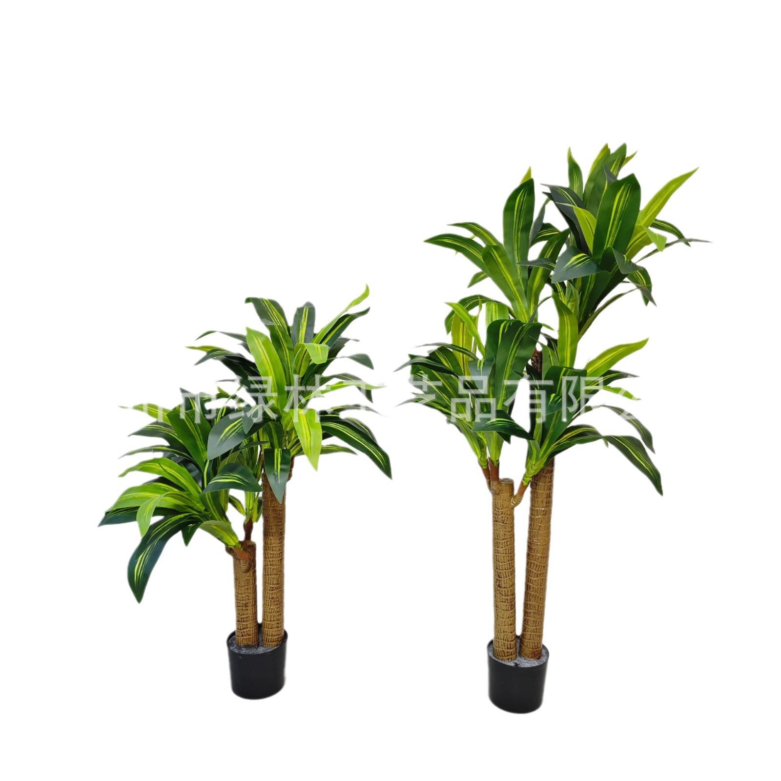 仿生绿植巴西木大型落地盆栽室内家居装饰巴西铁植物