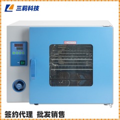 上海一恒鼓风干燥箱 300℃电热恒温高温烘箱 DHG-9015A鼓风干燥箱