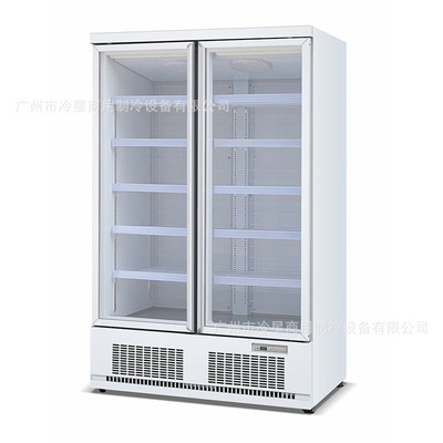 冷冻展示冰柜-18~-22℃下机组双门风冷商用冰淇淋肥牛60hz冰箱