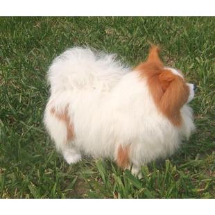 厂现货仿真狗家居摆件意创面装饰品无品牌/桌蝴蝶家犬模型博美犬