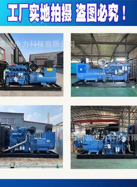 30kw柴油电机组3玉AEY柴0千发瓦发4缸发电机组备用电机