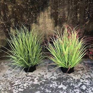 绿仿真芦苇草草垛仿真草堆草堆景观作制假草草软装道具草丛团草芦