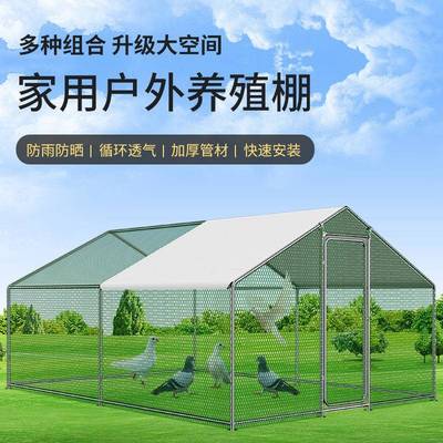 建鸡笼子棚家用养殖户笼鸽笼大号特大孔雀AYN养鸡笼子防鸡老鼠蛇