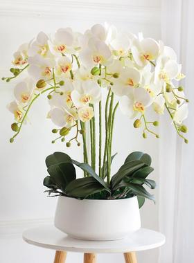 10枝款大F75999J6盆蝶花套装酒兰店大蝴堂摆设厅客摆放公司前台摆