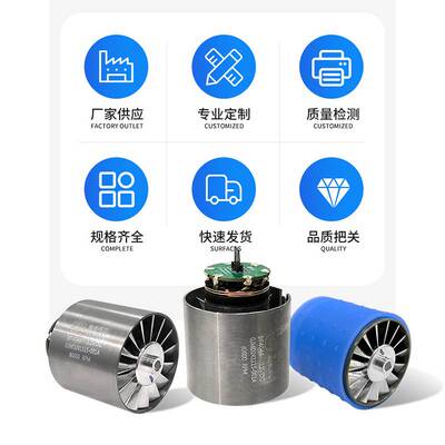 11万转速电机220V超高速直流无刷电机风扇吹风机电机干手器小马达
