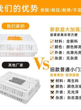 运输笼鸡笼料塑家禽周转箱成鸡鸭鹅筐鸽63184家子笼子用大号兔笼