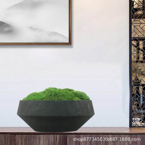 永生苔盆景盆栽台仿真植物624微景观中桌式面花艺藓客厅玄关前摆