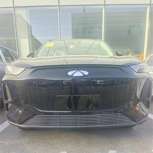 奇瑞风T云前脸杠用中网外观改装件专用9风云T9防虫网装饰亮条汽车