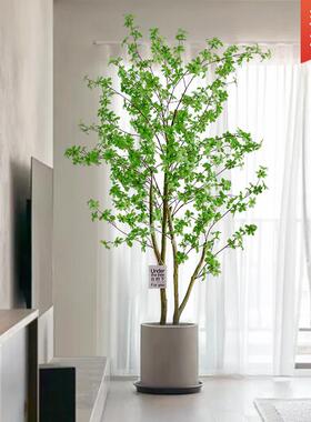 吊钟仿绿植假植物马醉木室内大型盆树栽客厅真饰落装地摆92718件