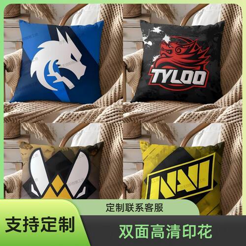 csgo双面抱枕职业战队标天是天禄的天cs2绿龙游戏创意礼物靠垫套