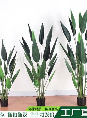 仿真天堂鸟skybird水美人假绿植美人蕉盆栽树北欧客厅旅人蕉树