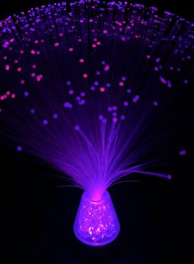 光纤花装饰灯氛围灯sheintemu跨境电商玩具七彩发光底座满天星