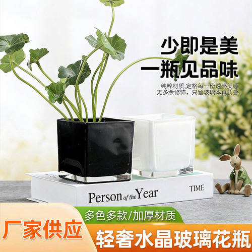 现简约黑瓷白瓷玻璃花黑白色方缸正方形玻璃水培摆件花艺花器