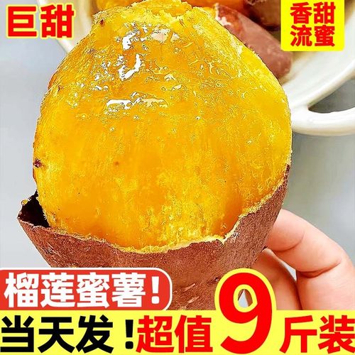 【榴莲蜜薯推荐榜】官方推荐