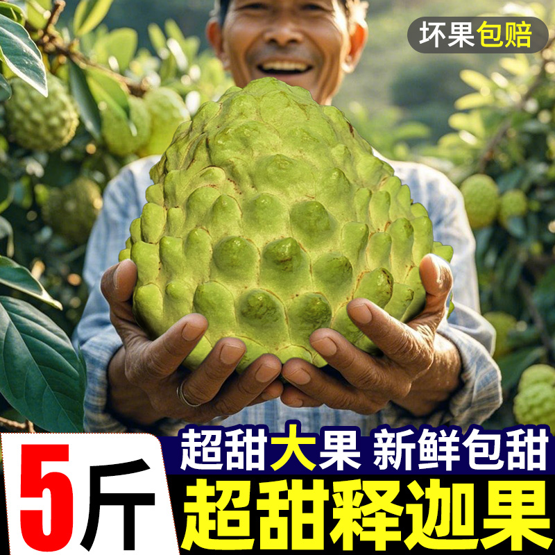 【超甜释迦果】官方推荐