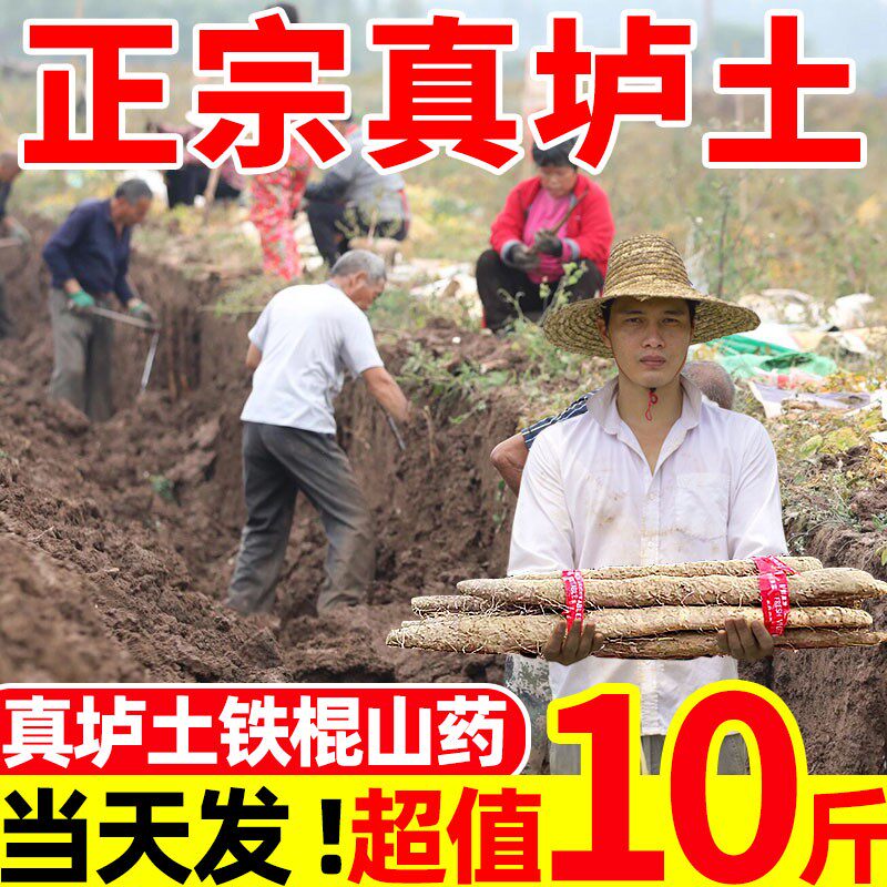正宗河南垆土铁棍山药9斤新鲜山药淮山小白嘴蔬菜准铁桂特产整箱