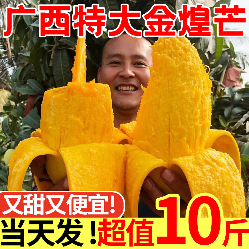 【官方力荐】正宗广西金煌芒