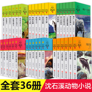 12岁小学生四五六年级课外经典 正版 全套36册斑羚飞渡第七条猎狗后一头战象9 狼王梦沈石溪动物小说全集品藏书系大王升级版 书籍