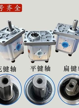 液压齿轮泵油泵总成CBN-F304/306/310/314/316/320/325高压泵农机