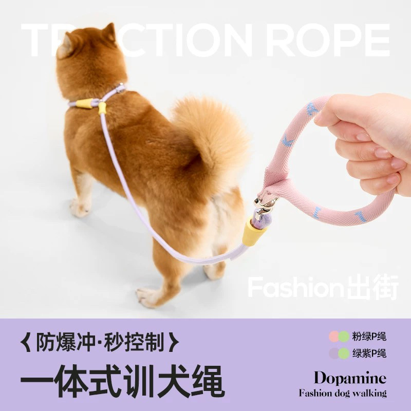 狗狗牵引绳防爆冲狗绳中大型犬遛狗牵引绳狗链牵狗绳P绳P链遛狗绳
