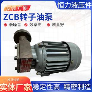 转子油泵ZCB-0.8/1.2减速机油泵减速机润滑泵立式摆线针轮油泵