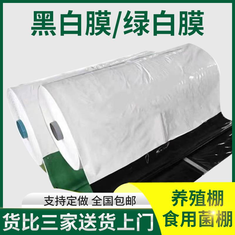进口黑白膜加厚养殖棚保温防晒隔热大棚鱼塘防渗反光膜食用菌遮光