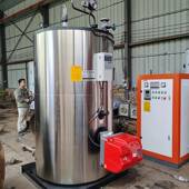 供应300公斤生物质蒸汽发生器燃生物质颗粒蒸汽发生器蒸汽锅炉