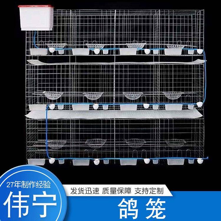 不锈钢镀锌加粗鸽笼防锈家用养殖大号16位铁丝鸽笼现货