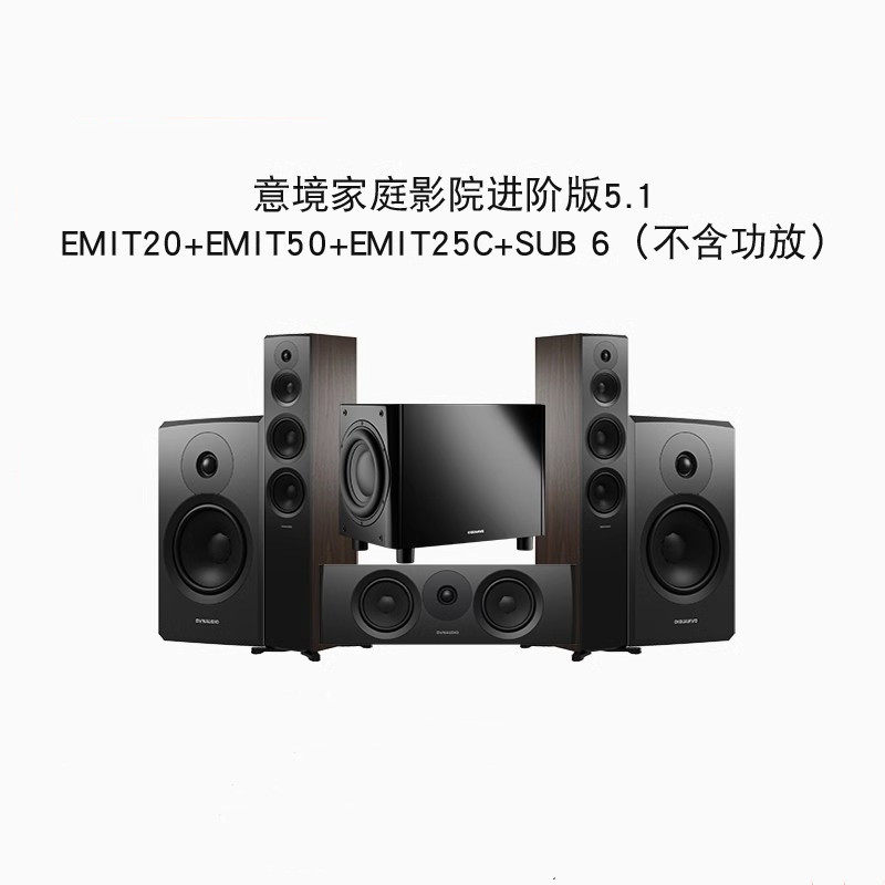 Dynaudio/丹拿新意境家庭影院音箱音响功放套装5.1基础进阶版