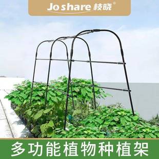 温室小拱棚支架多功能蔬菜种植架蔬菜棚骨架杆防雪防冻保温棚