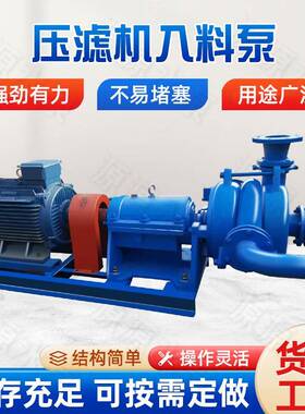 板框压滤机专用入料泵65SYA-II喂料泵给料泵洗煤厂污泥处理泵