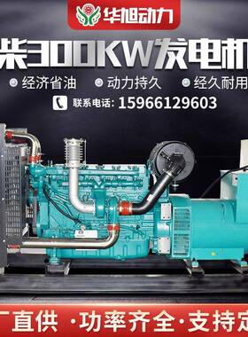 潍柴300KW柴油发电机组潍柴WP10D320E200潍柴发电机