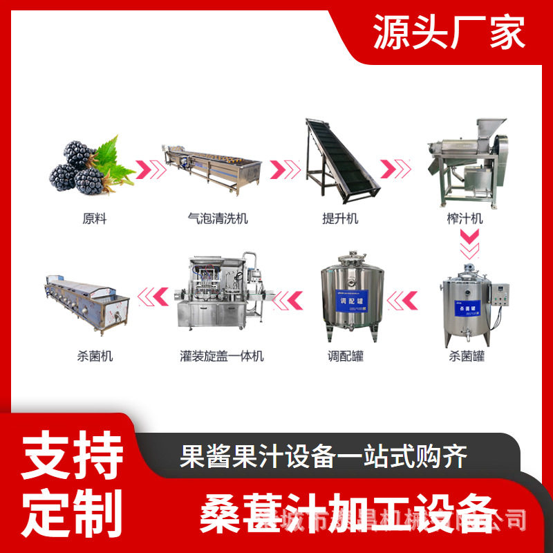 桑葚汁深加工机械设备桑葚汁浓缩提取设备大型草莓汁饮料加工机器