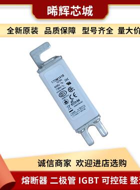 170M1418170M1416电子元器件库存充足巴斯曼直流快速熔断器
