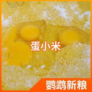 鹦鹉繁殖断奶期专用蛋小米幼鸟粮无壳谷子鸡蛋黄鸟食饲料促进营养