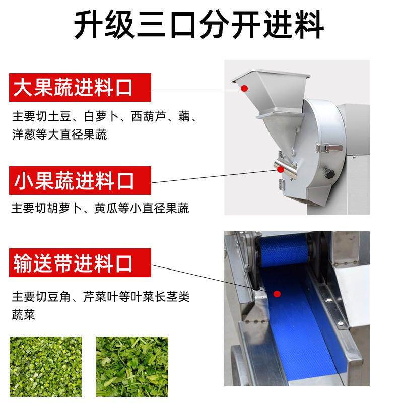 全自动电动切菜机食堂多功能土豆萝卜切丝机切片切方丁块机器商用