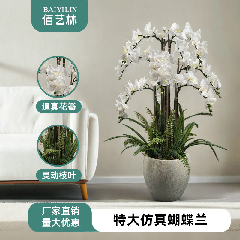 特大蝴蝶兰仿真花精致家居装饰复刻真花神韵多色可选适配多元场景