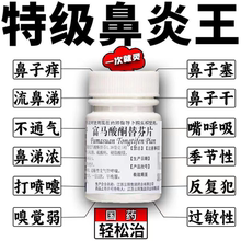 治鼻炎中药过敏性鼻炎儿童特效专用药非日本进口富马酸酮替芬分片
