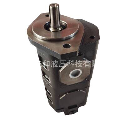 4120002121临工装载机齿轮泵CBGj0025/0010工作泵