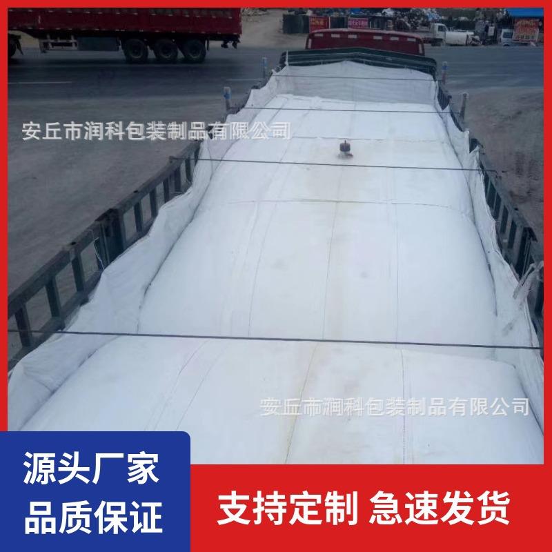 大型集装箱应急车载水囊水袋pvc软体水囊液袋大容量运输储水袋