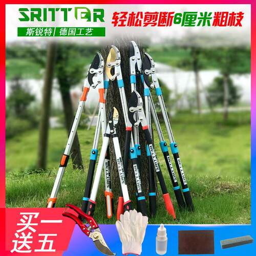 伸缩园林剪树剪子果树剪修枝剪修树枝剪刀粗枝剪树枝专用剪子强力