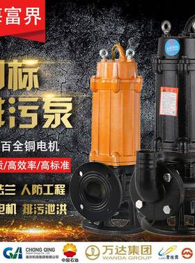 W潜Q水泵排污泵DDP无塞污水泵380v三相2提升泵家用农用堵20V小型