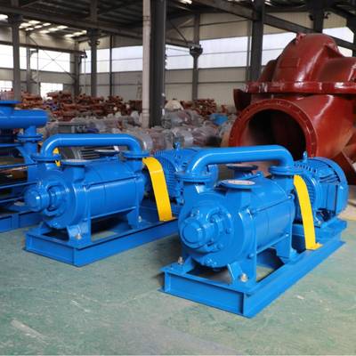 山东东泵 2BE真空泵水环真空泵真空泵2BEA真空泵2BEC真空泵