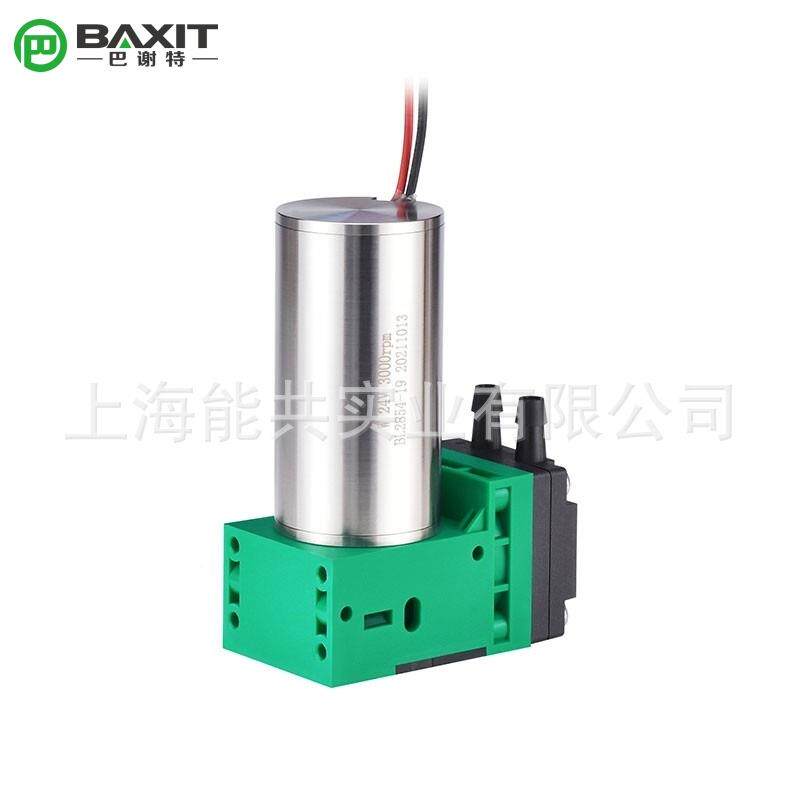 BGBTAXIT气型体循环泵微隔膜泵刷小型采样泵气体抽无气真泵G4B系